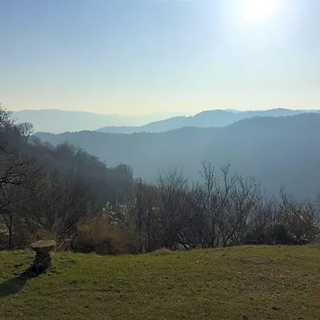 Casa Langa Di Lola Oda ve Kahvaltı Mango