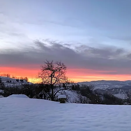 Casa Langa Di Lola Oda ve Kahvaltı
